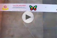 SPR 팦zW(wng)ӡˢˮϴO